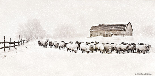 Sheep by the Winter Barn – Christmas Wall Art