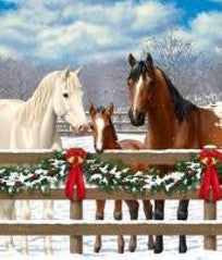 Horse Holiday – Christmas Wall Art