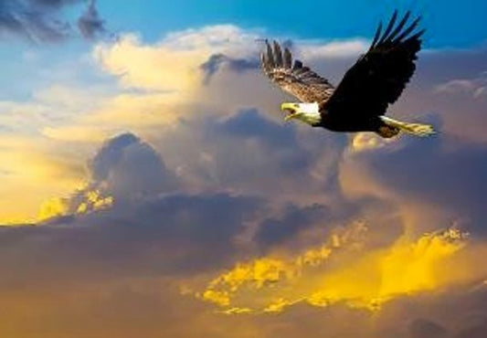 Freedom - Patriotic Wall Art