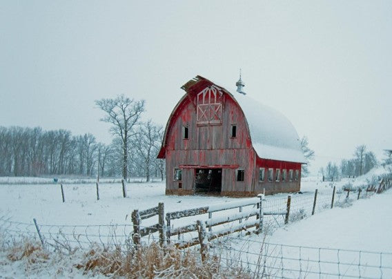 Fresh Snow – Christmas Wall Art