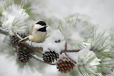Chickadee on Snowy Pine – Christmas Wall Art