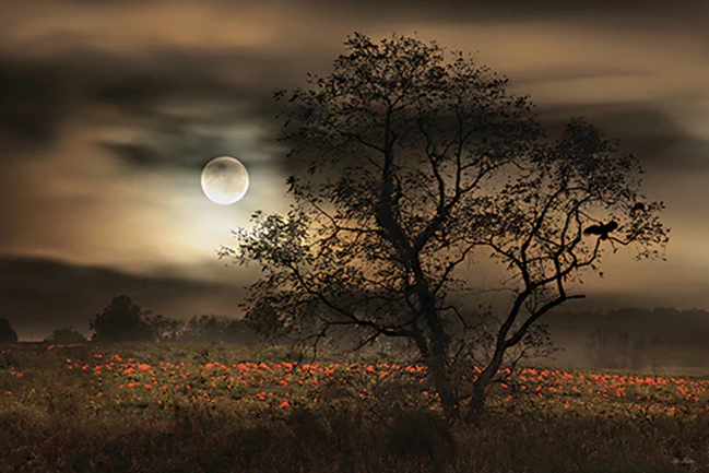 Harvest Moon Serenity - Fall Wall Art