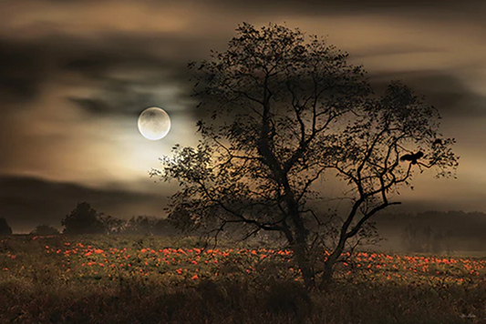 Harvest Moon Serenity - Fall Wall Art