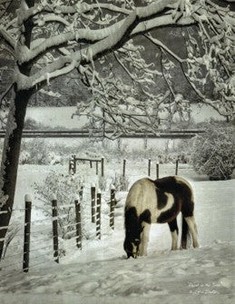 Paint in the Snow – Christmas Wall Art