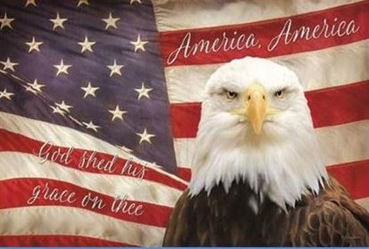 Grace on America - Patriotic Wall Art