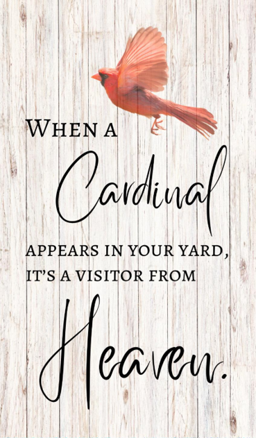Cardinal Visitor from Heaven - Bereavement Wall Art