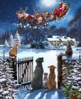 Outdoor Theater – Christmas Wall Art