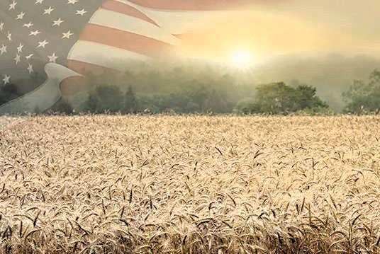 Fields of Freedom - Patriotic Wall Art