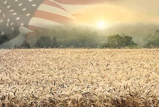 Fields of Freedom - Patriotic Wall Art