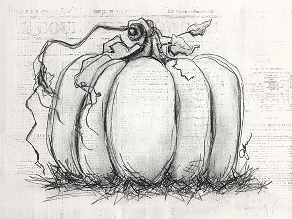 Sketchy Pumpkin - Fall Wall Art