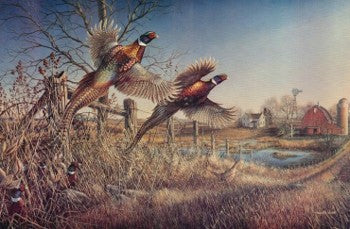 Fence Line – Western Wall Art