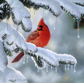 Christmas Companion – Christmas Wall Art