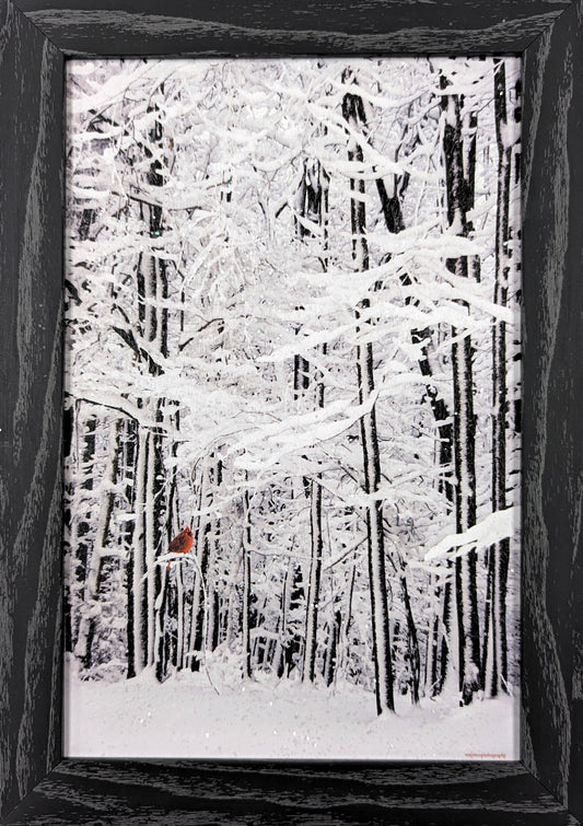 Winter Still – Christmas Wall Art