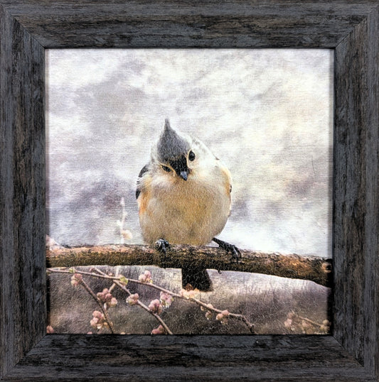 Tufted Titmouse – Holiday Wall Art