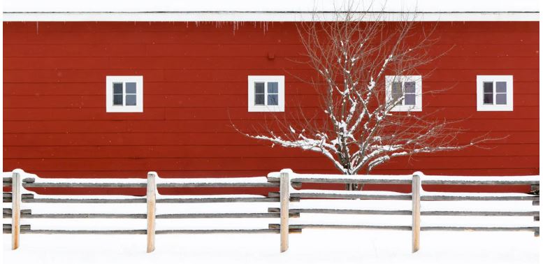 RED BITTERROOT BARN