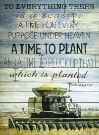 A TIME TO PLANT