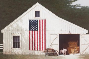 BARN WITH PIGLET